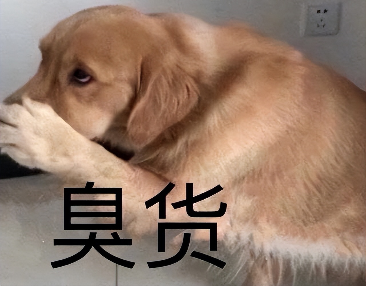 相亲遇到个极品狗屎粪坑女